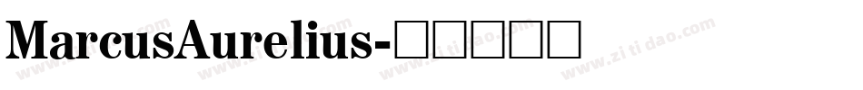 MarcusAurelius字体转换
