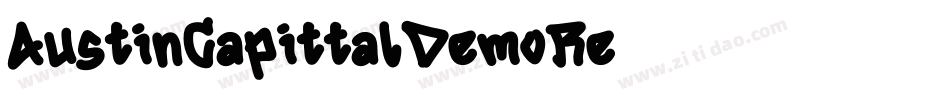AustinCapittalDemoRe字体转换