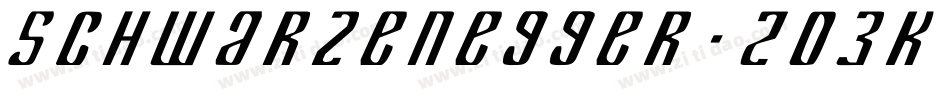 Schwarzenegger-203K字体转换