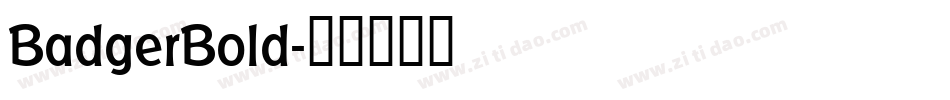 BadgerBold字体转换