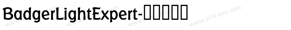 BadgerLightExpert字体转换
