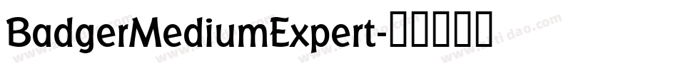 BadgerMediumExpert字体转换