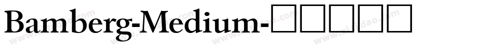 Bamberg-Medium字体转换