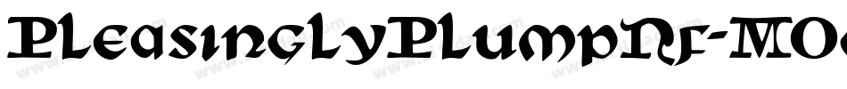 PleasinglyPlumpNf-MOgx字体转换