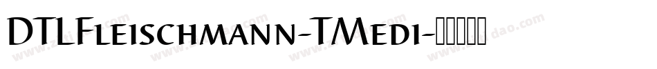 DTLFleischmann-TMedi字体转换