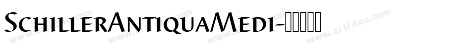 SchillerAntiquaMedi字体转换