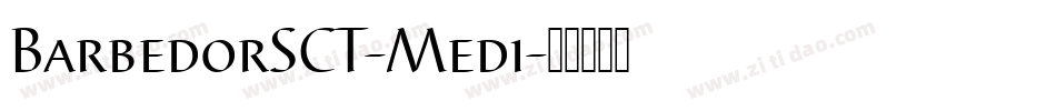 BarbedorSCT-Medi字体转换