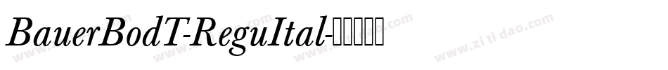 BauerBodT-ReguItal字体转换