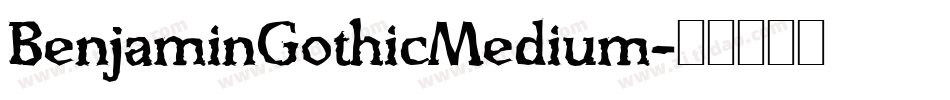 BenjaminGothicMedium字体转换