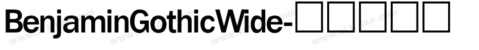 BenjaminGothicWide字体转换