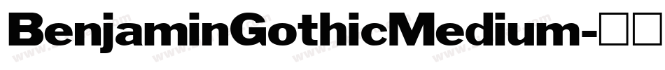BenjaminGothicMedium字体转换