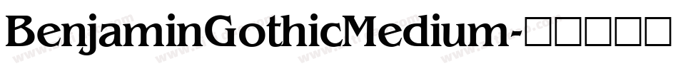 BenjaminGothicMedium字体转换