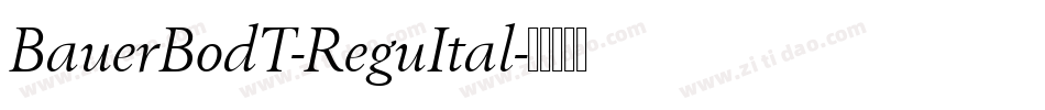 BauerBodT-ReguItal字体转换