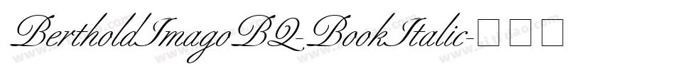 BertholdImagoBQ-BookItalic字体转换