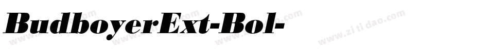 BudboyerExt-Bol字体转换