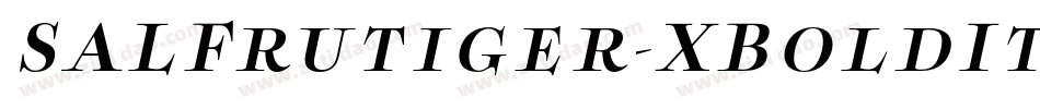 SALFrutiger-XBoldItal字体转换