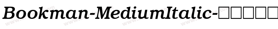 Bookman-MediumItalic字体转换