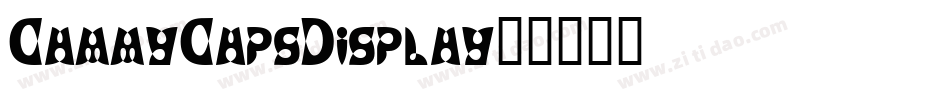 CammyCapsDisplay字体转换