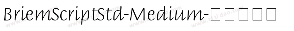 BriemScriptStd-Medium字体转换