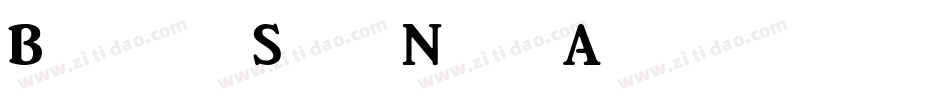 BrightonSerifNbp-yAj2字体转换