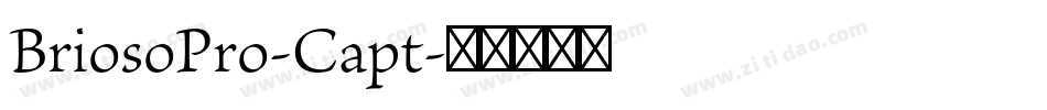 BriosoPro-Capt字体转换