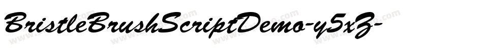 BristleBrushScriptDemo-y5xZ字体转换