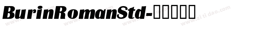 BurinRomanStd字体转换