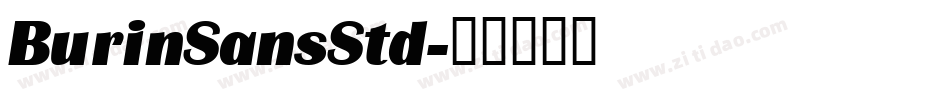 BurinSansStd字体转换