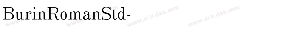 BurinRomanStd字体转换