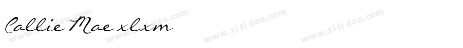 CallieMae-xlxm字体转换