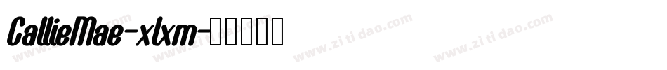 CallieMae-xlxm字体转换