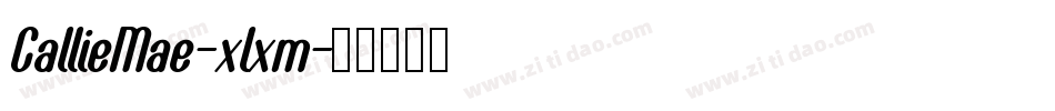 CallieMae-xlxm字体转换