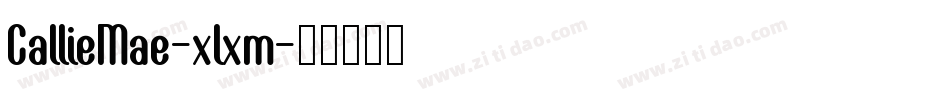 CallieMae-xlxm字体转换