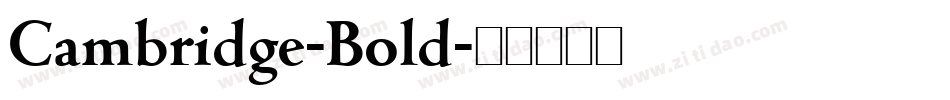 Cambridge-Bold字体转换