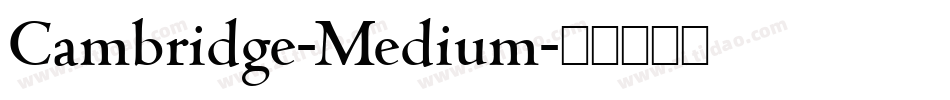 Cambridge-Medium字体转换
