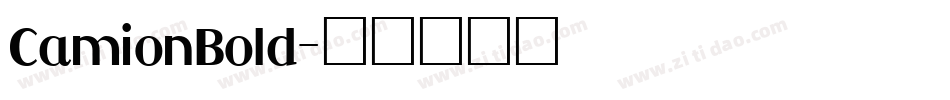 CamionBold字体转换