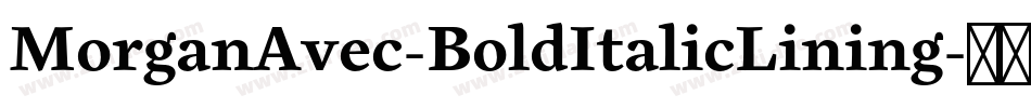 MorganAvec-BoldItalicLining字体转换