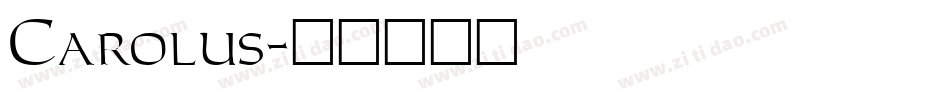 Carolus字体转换