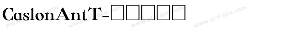 CaslonAntT字体转换