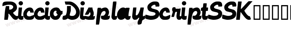 RiccioDisplayScriptSSK字体转换