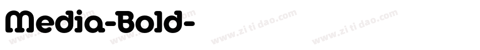 Media-Bold字体转换