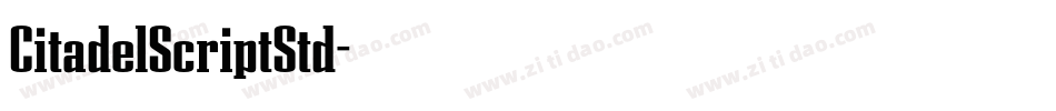 CitadelScriptStd字体转换