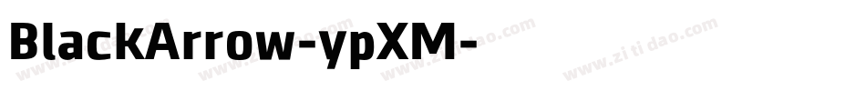 BlackArrow-ypXM字体转换 BlackArrow-ypXM字体转换