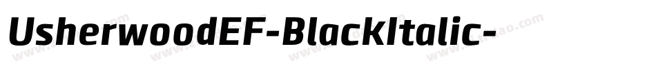 UsherwoodEF-BlackItalic字体转换