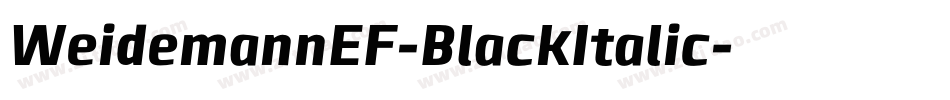 WeidemannEF-BlackItalic字体转换