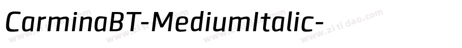 CarminaBT-MediumItalic字体转换