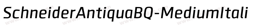 SchneiderAntiquaBQ-MediumItalic字体转换