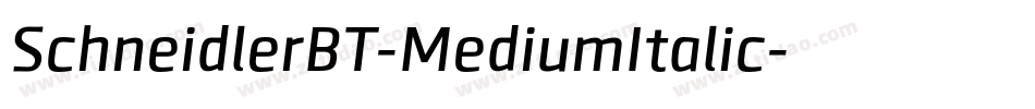 SchneidlerBT-MediumItalic字体转换