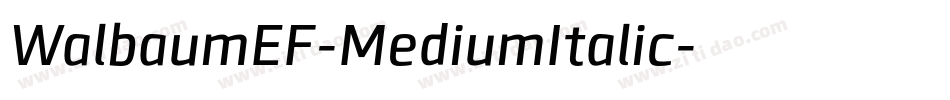WalbaumEF-MediumItalic字体转换
