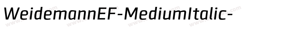 WeidemannEF-MediumItalic字体转换